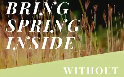 Bring Spring Inside Without Leaving the House