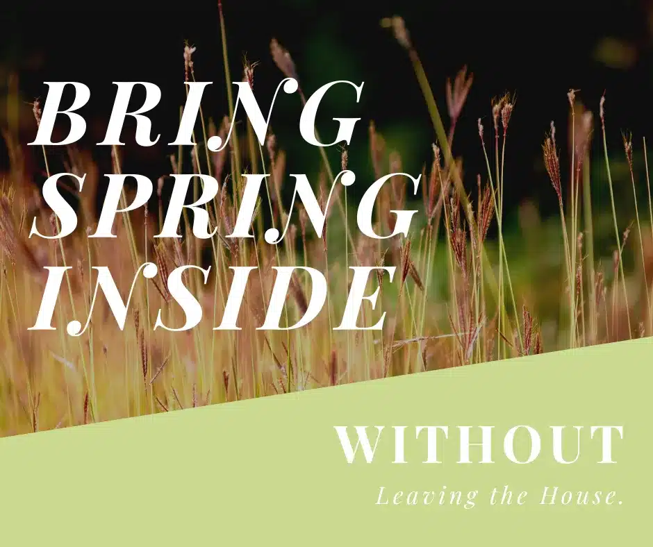 bring spring inside bring spring inside