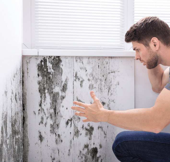 The Hidden Dangers of Water Leaks and How New Windows Can Help Protect Your Home